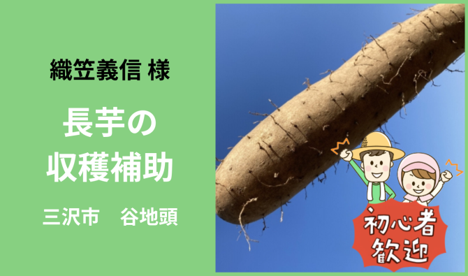 「「 織笠義信さん」三沢市 長芋の収穫補助 3月お仕事カレンダー」のサムネイル