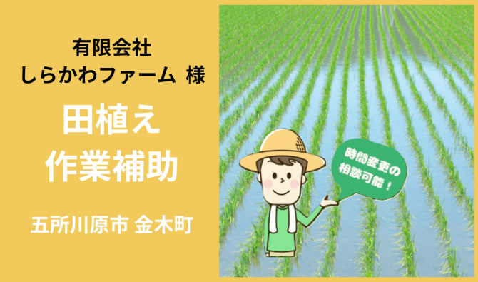 「「しらかわファームさん」五所川原市 田植え作業補助  5月お仕事カレンダー」のサムネイル