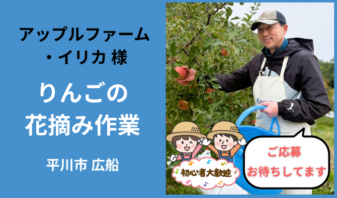 「「 アップルファーム・イリカさん」平川市 りんごの花摘み作業  5月お仕事カレンダー」のサムネイル