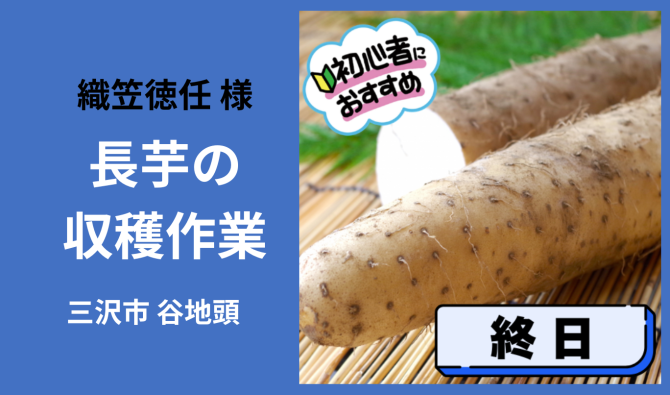 「「 織笠徳任さん」三沢市 長いも収穫作業 3月お仕事カレンダー」のサムネイル