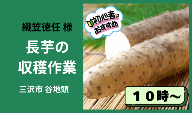 「「 織笠徳任さん」三沢市 長いも収穫作業 10時スタート 3月お仕事カレンダー」のサムネイル