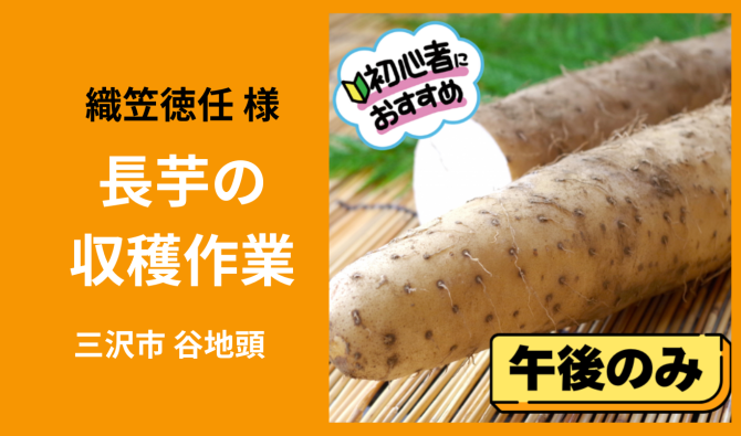 「「 織笠徳任さん」三沢市 長いも収穫作業 13時スタート 3月お仕事カレンダー」のサムネイル