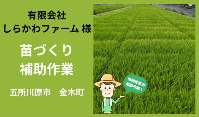 「「 しらかわファームさん」五所川原市 苗づくり作業補助  4月お仕事カレンダー」のサムネイル