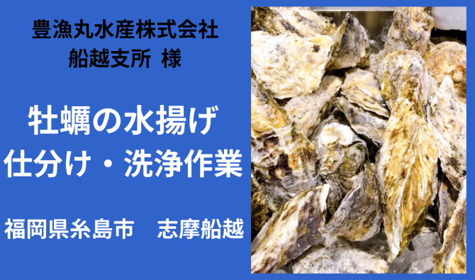 「「豊漁丸水産株式会社船越支所さん」糸島市 牡蠣(カキ)の水揚・仕分け・洗浄・タネ付け作業  4月お仕事カレンダー」のサムネイル