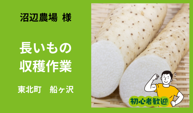 「「 沼辺農園さん」東北町 ながいもの収穫作業  4月お仕事カレンダー」のサムネイル