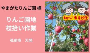 「「 やまがたりんご園さん」弘前市 りんご園地枝拾い作業  4月お仕事カレンダー」のサムネイル
