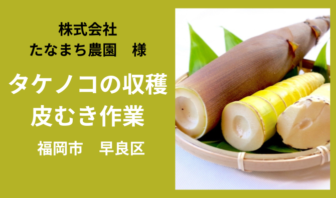「「 たなまち農園さん」福岡市早良区 たけのこの収穫・皮むきや他作業   4月お仕事カレンダー」のサムネイル