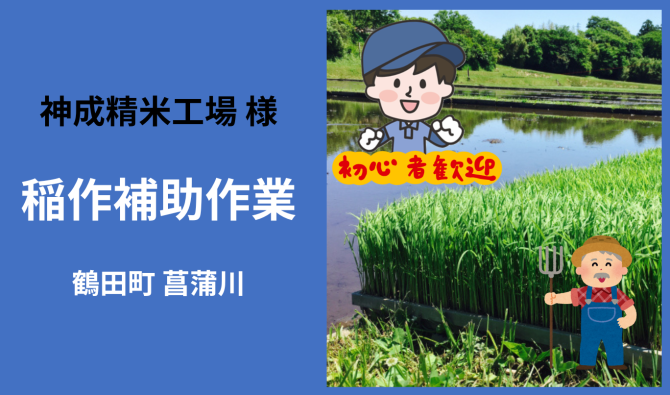 「「神成精米工場さん」 鶴田町 稲作補助作業【男性】 4月お仕事カレンダー」のサムネイル