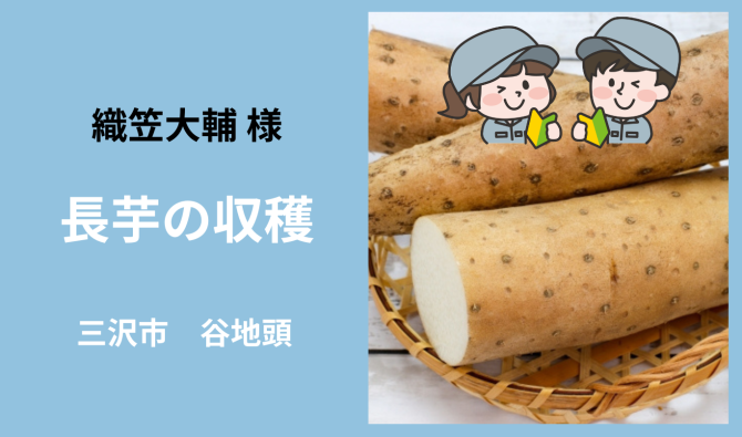 「「織笠大輔さん」三沢市 長芋の収穫  4月お仕事カレンダー」のサムネイル