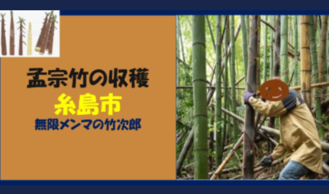 「「 株式会社竹次郎さん」糸島市 孟宗竹(モウソウダケ)収穫 4月お仕事カレンダー」のサムネイル