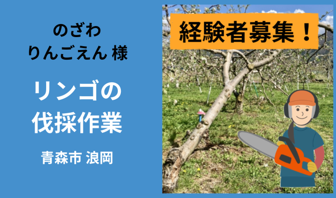 「「のざわりんごえんさん」青森市 リンゴの伐採作業  4月お仕事カレンダー」のサムネイル
