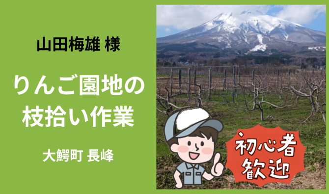 「「 山田梅雄さん」大鰐町 りんご園地の枝拾い  4月お仕事カレンダー」のサムネイル