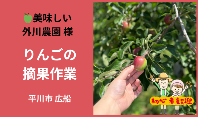 「「 美味しい外川農園さん」平川市 りんごの摘果作業 5月お仕事カレンダー」のサムネイル