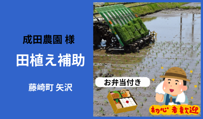 「「 成田農園さん」藤崎町 稲作の苗箱運搬・田植え補助作業 5月お仕事カレンダー」のサムネイル