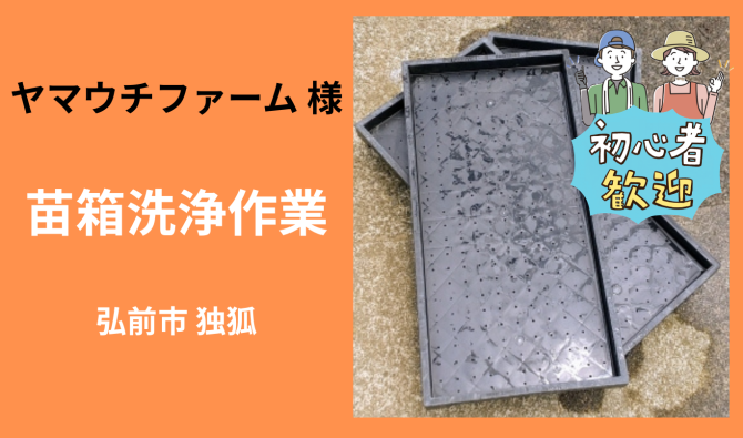 「「 ヤマウチファームさん」弘前市 苗箱洗浄作業 5月お仕事カレンダー」のサムネイル