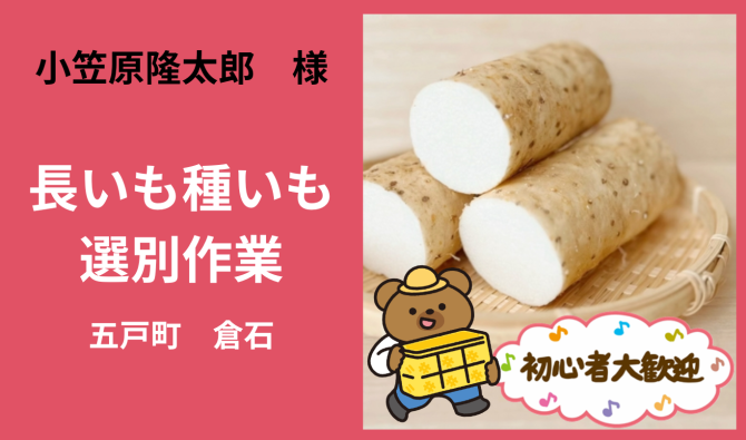 「「 小笠原隆太郎 さん」五戸町 長いもの種いもの選別作業  5月お仕事カレンダー」のサムネイル