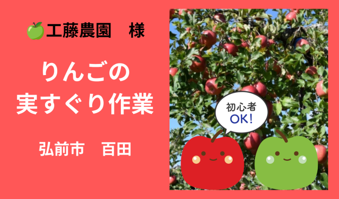 「「 🍏工藤農園 さん」弘前市 りんごの実すぐり作業  6月お仕事カレンダー」のサムネイル