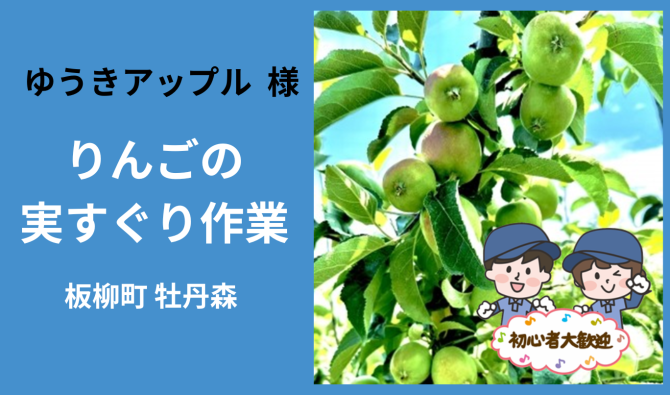 「「 ゆうきアップルさん」板柳町 りんごの実すぐり作業 5月お仕事カレンダー」のサムネイル