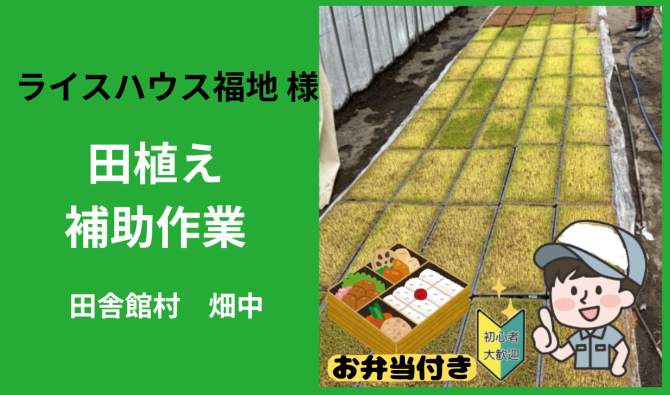 「「ライスハウス福地さん」田舎館村 田植え補助作業【男性】 6月お仕事カレンダー」のサムネイル