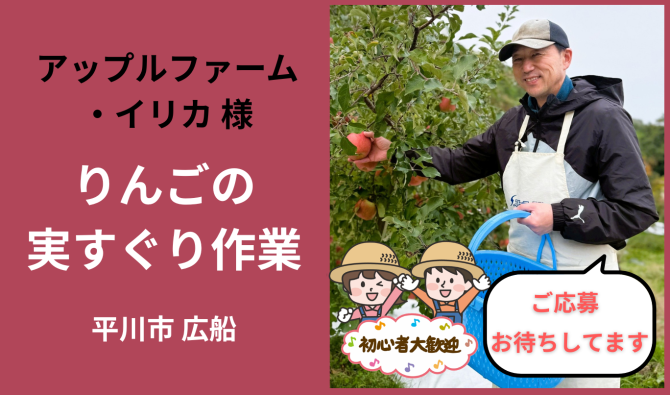 「「 アップルファーム・イリカさん」平川市 りんごの実すぐり作業  5月お仕事カレンダー」のサムネイル