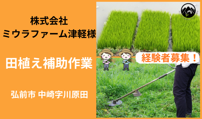 「「株式会社ミウラファーム津軽さん」弘前市 田植え補助作業 6月お仕事カレンダー」のサムネイル