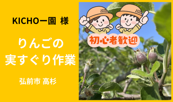 「「KICHOー園さん」弘前市 りんご実すぐり作業  6月お仕事カレンダー」のサムネイル