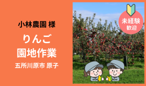 「「 小林農園さん」五所川原市 りんご園地作業  7月お仕事カレンダー」のサムネイル