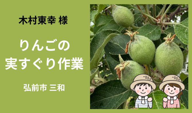 「「木村東幸さん」弘前市 りんごの実すぐり作業  6月お仕事カレンダー」のサムネイル