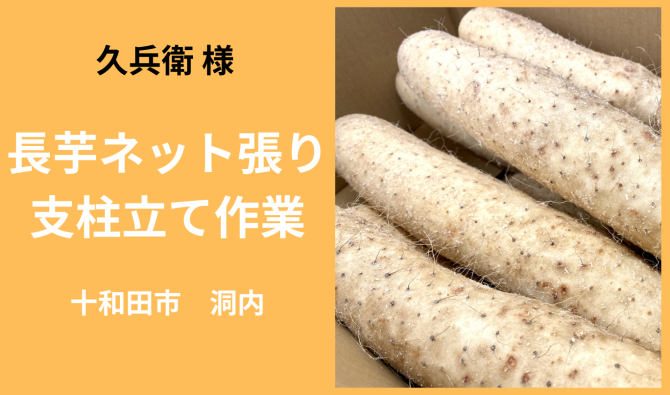 「「 久兵衛さん」十和田市 長いも支柱立て＆ネット張り作業  5月お仕事カレンダー」のサムネイル