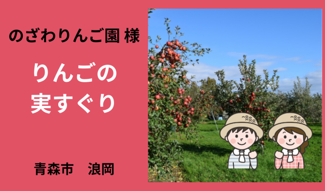 「「 のざわりんごえんさん」青森市浪岡 リンゴの実すぐり作業 6月お仕事カレンダー」のサムネイル