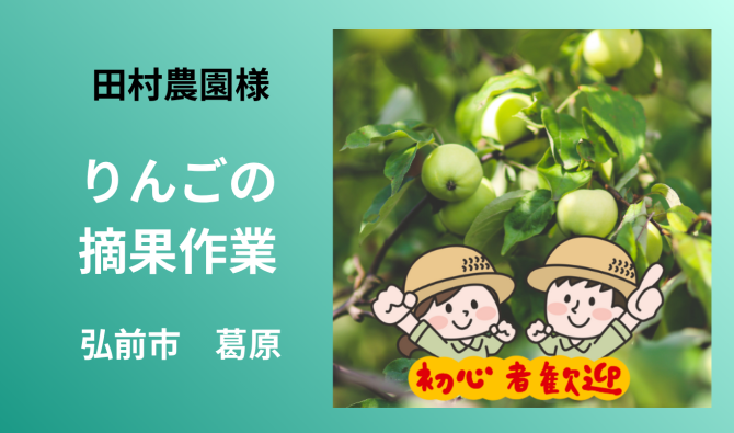 「「田村農園さん」弘前市 りんごの摘果作業  6月お仕事カレンダー」のサムネイル