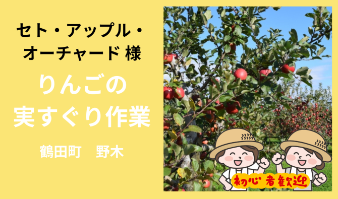「「セト・アップル・オーチャードさん」鶴田町 りんごの実すぐり作業  6月お仕事カレンダー」のサムネイル