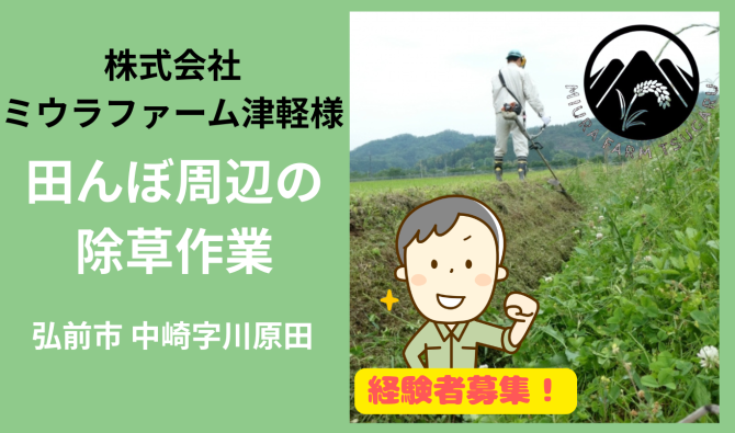 「「株式会社ミウラファーム津軽さん」弘前市 田んぼ周辺の除草作業 ７月お仕事カレンダー」のサムネイル