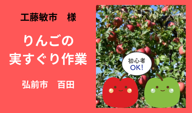 「「 工藤敏市 さん」弘前市 りんごの実すぐり作業  6月お仕事カレンダー」のサムネイル