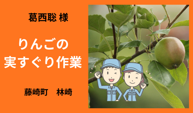 「「 葛西聡さん」藤崎町 りんご実すぐり作業 6月お仕事カレンダー」のサムネイル