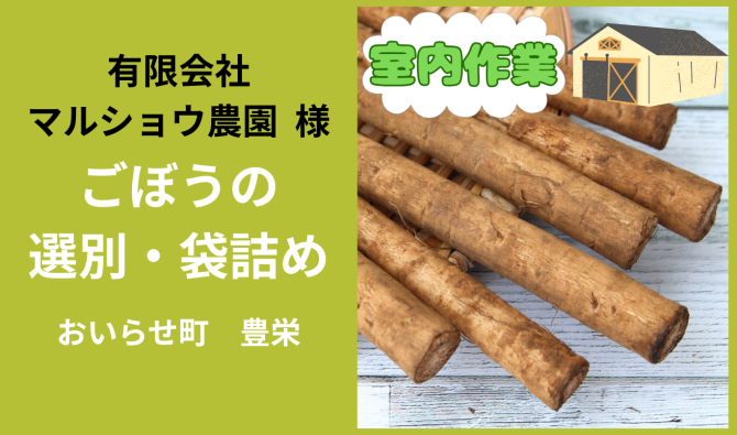 「「 マルショウ農園さん」おいらせ町 ゴボウの袋詰め  6月お仕事カレンダー」のサムネイル