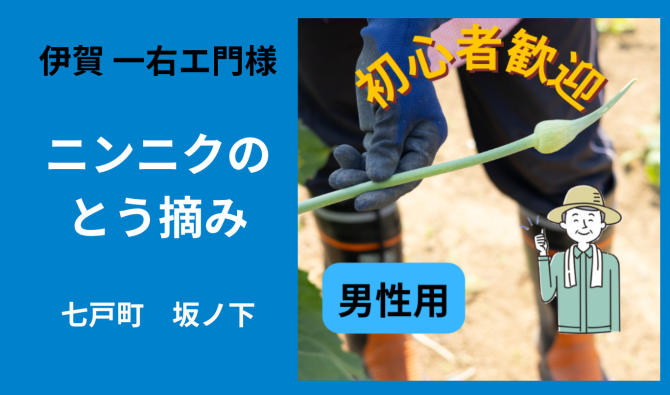 「「伊賀一右エ門さん」七戸町坂ノ下 ニンニクのとう摘み作業 6月お仕事カレンダー」のサムネイル