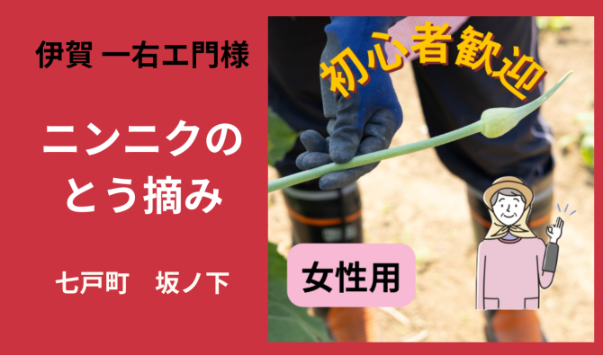 「「伊賀一右エ門さん」七戸町坂ノ下 ニンニクのとう摘み作業 6月お仕事カレンダー」のサムネイル