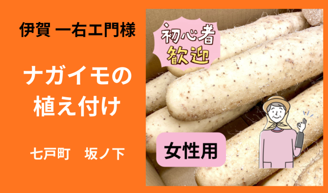 「「伊賀一右エ門さん」七戸町坂ノ下 ナガイモの植え付け作業 6月お仕事カレンダー」のサムネイル