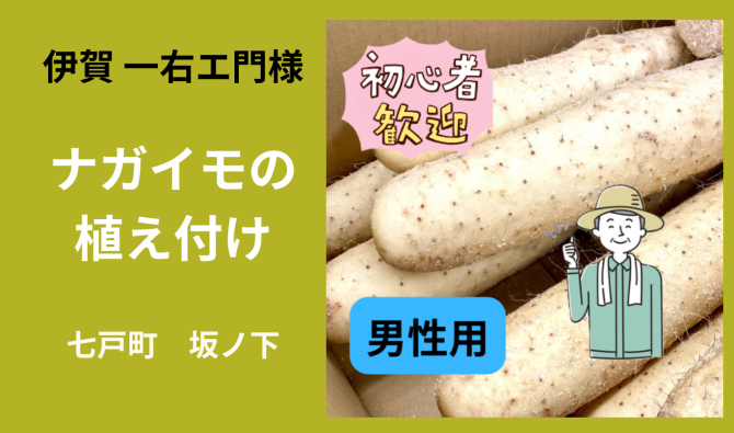 「「伊賀一右エ門さん」七戸町坂ノ下 ナガイモの植え付け作業 6月お仕事カレンダー」のサムネイル