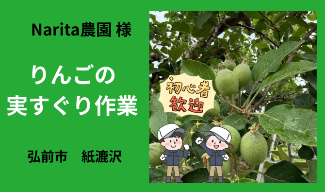「「 Narita農園さん」弘前市紙漉沢  りんごの実すぐり作業  6月お仕事カレンダー」のサムネイル