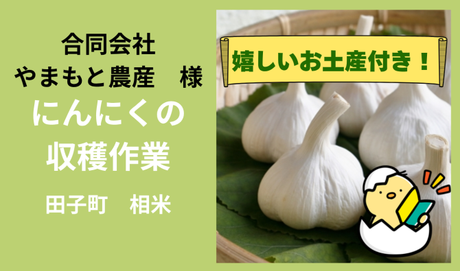 「「やまもと農産さん」田子町  ニンニクの根切り作業  6月お仕事カレンダー」のサムネイル