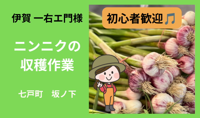 「「伊賀一右エ門さん」七戸町坂ノ下　ニンニク収穫作業 7月お仕事カレンダー」のサムネイル