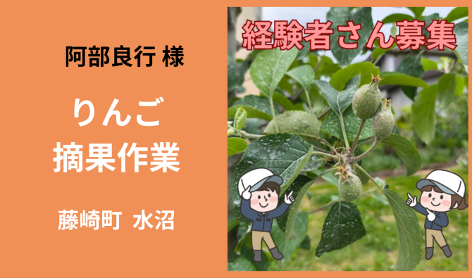 「「阿部良行さん」藤崎町 りんご摘果作業  6月お仕事カレンダー」のサムネイル