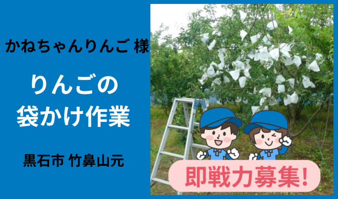 「「かねちゃんりんごさん」黒石市 りんごの袋かけ作業  6月お仕事カレンダー」のサムネイル