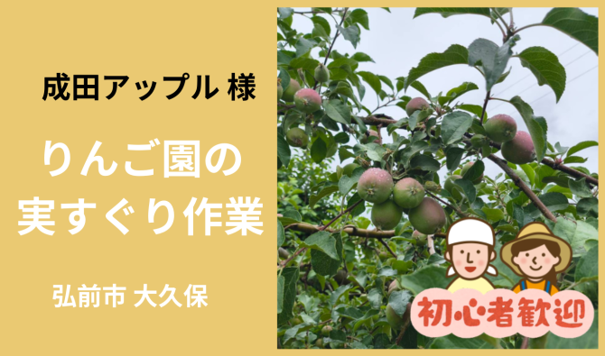 「「 成田アップルさん」弘前市  りんご園の実すぐり作業  6月お仕事カレンダー」のサムネイル