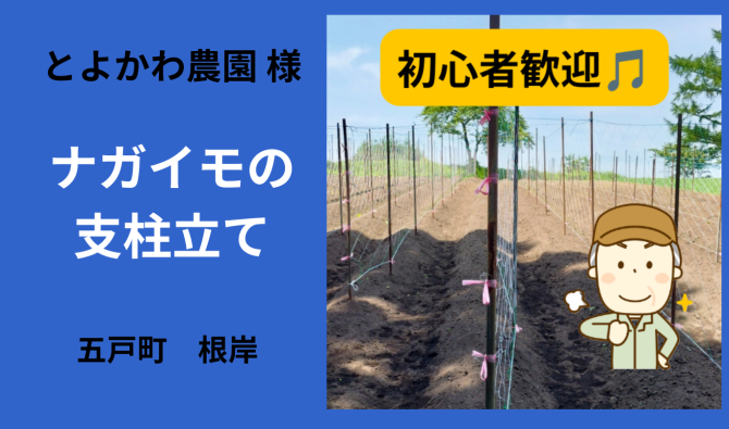 「「とよかわ農園さん」 五戸町 ニンニク収穫作業 7月お仕事カレンダー」のサムネイル