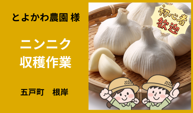 「とよかわ農園さん 五戸町 ニンニク収穫作業 6月お仕事カレンダー」のサムネイル