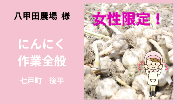 「「 八甲田農場さん」七戸町 にんにく収穫作業全般【女性👩‍🌾】  7月お仕事カレンダー」のサムネイル