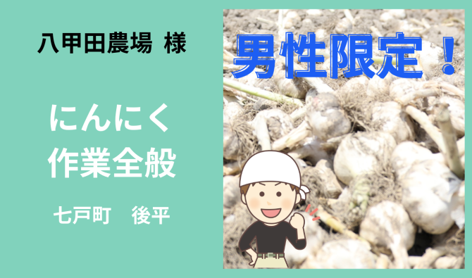 「「 八甲田農場さん」七戸町 にんにく収穫作業全般【男性👨‍🌾】  7月お仕事カレンダー」のサムネイル